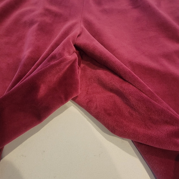 Ivy Park Chery Wood Velour V-Day Track Suite Jacket and Pant Set Gently used 2X - Picture 10 of 14